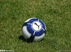 展望,半岛体育,半岛体育平台,半岛体育平台,半岛体育官方网站,半岛体育登录入口,半岛体育app下载