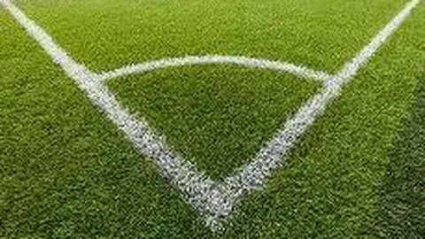 “粤港澳全运会羽毛球女单冠军：湖北王祉怡登顶”