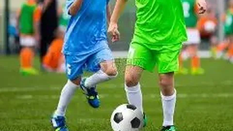 半岛体育 资讯 091008 nii