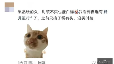 半岛体育，半岛体育App， 181536
